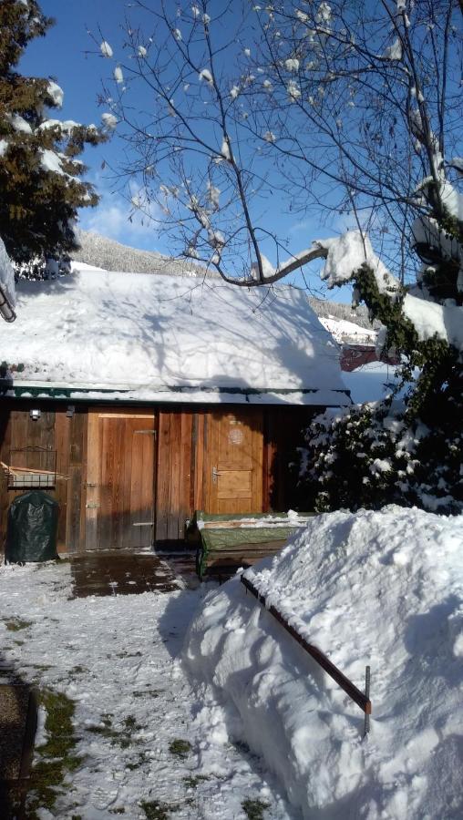 Villa Chalet Dorfer Sankt Lorenzen ob Murau Exterior foto